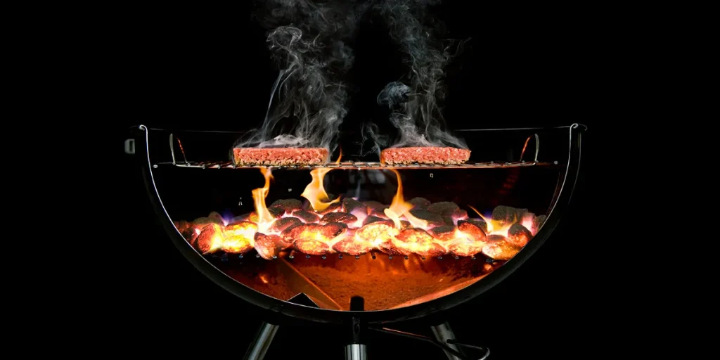بهترین زغال برای تهیه جوجه کباب