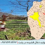 راه اندازی خط تولید زغال فشرده در رشت