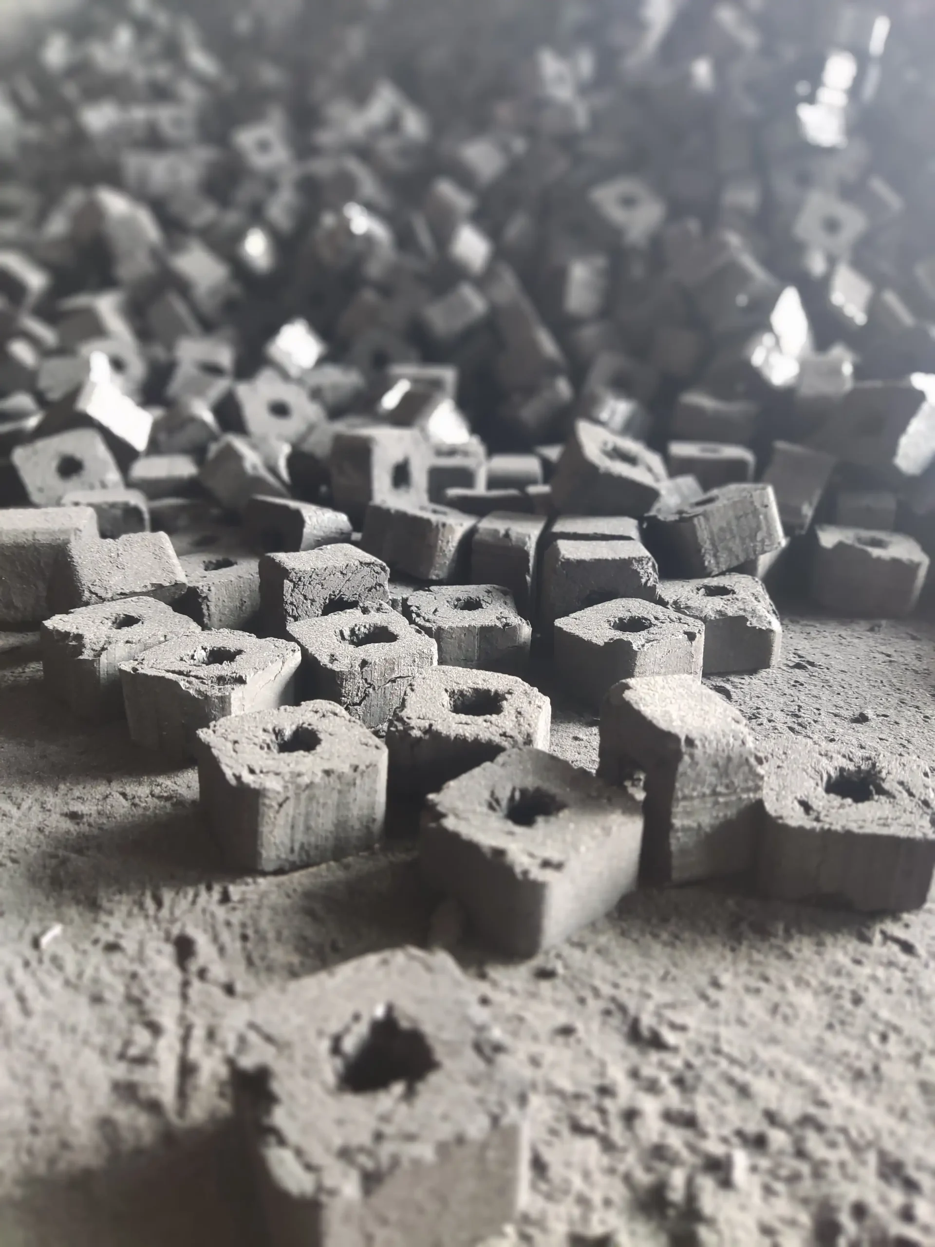 راه اندازی خط تولید زغال فشرده